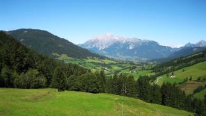 Bild 287