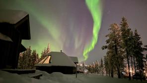 IMG-20231115-WA0005
